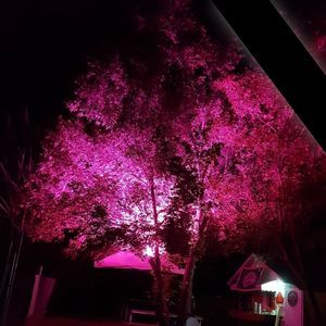 Meet your Posher, Joeena